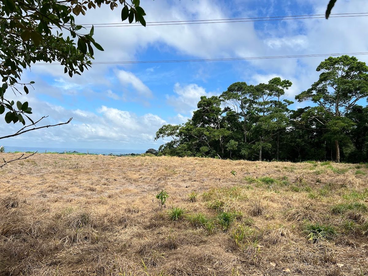 Lotes con precio de Oportunidad en Ciudad Quesada: en Puente Casa