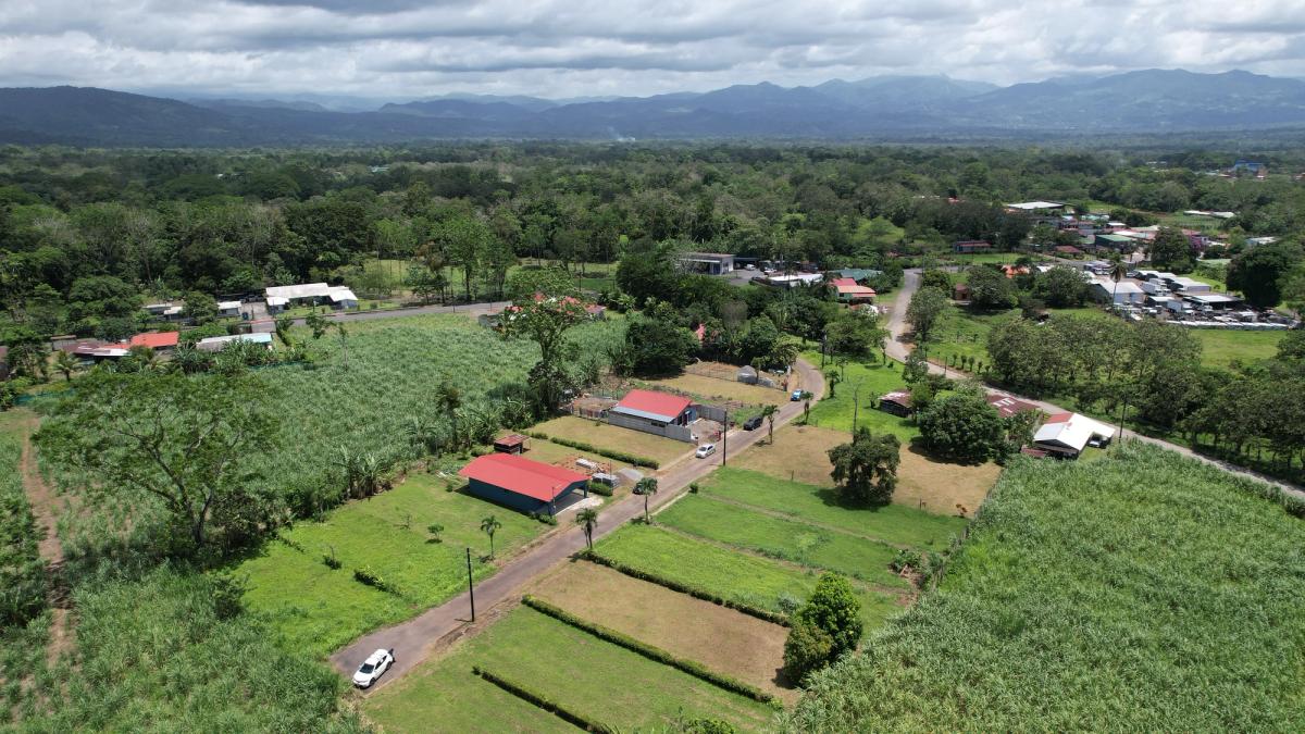 Lote Residencial de 429 m² en Florencia: Privacidad y Gran Potencial