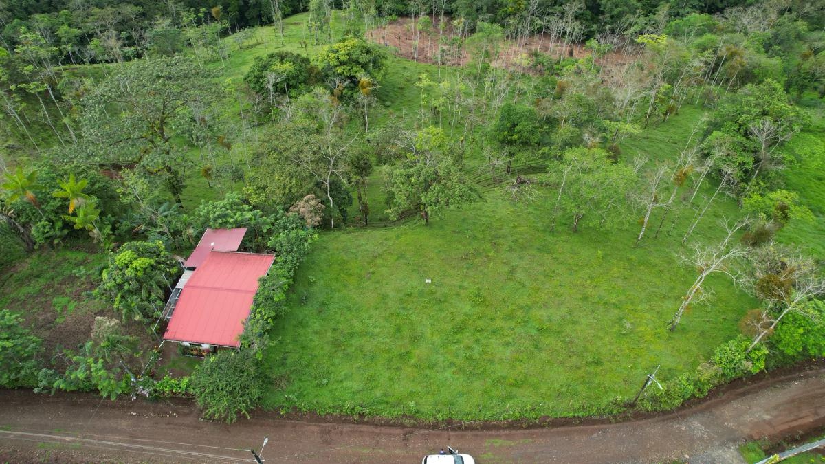 Lotes en Cedral de Ciudad Quesada: Topografía Plana y Paz