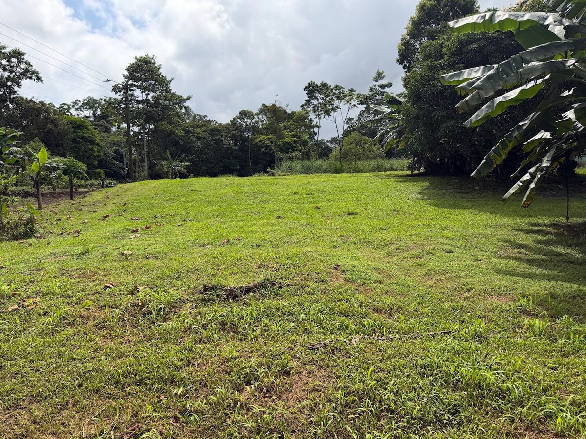 Land for Country Home in La Tigra, San Carlos: Bordering River