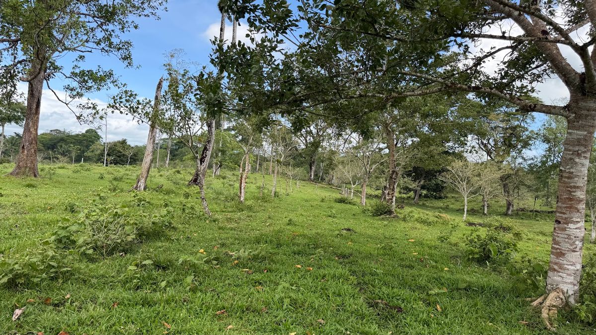 Fully Operational Livestock Development in Cuatro Esquinas
