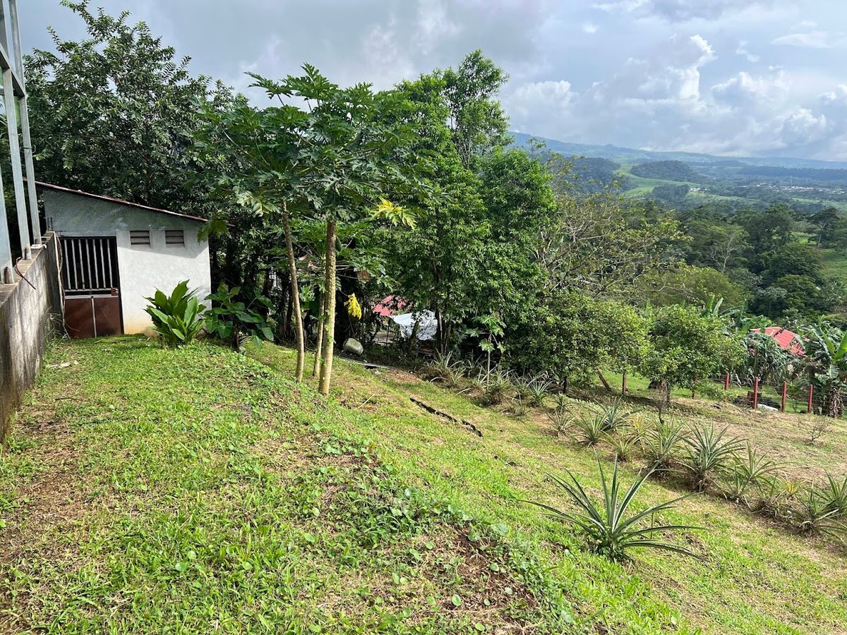 Home with Large Lot for Sale in La Tesalia | San Carlos