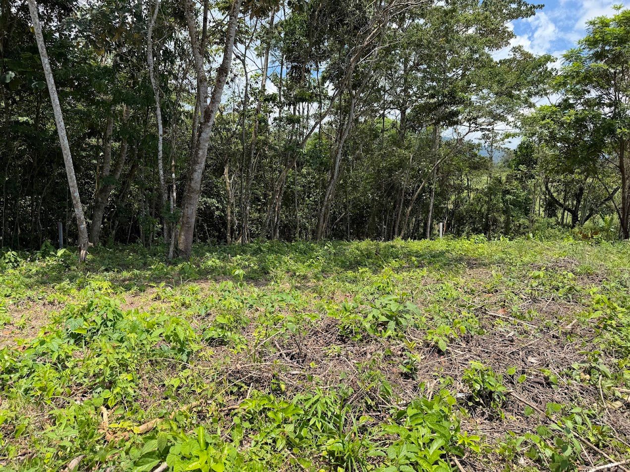 725 sqm Lot in Chachagua: Near La Fortuna & Arenal Volcano