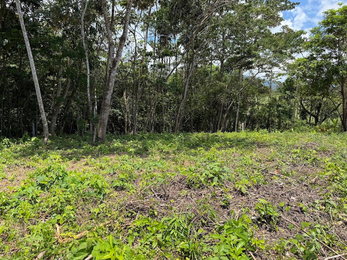 725 sqm Lot in Chachagua: Near La Fortuna & Arenal Volcano