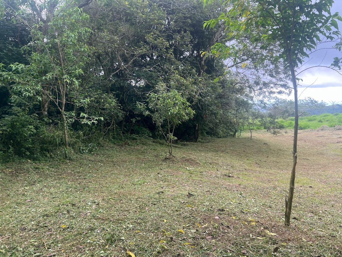 3,000 sqm Flat Lot in San Gerardo: Nature & Investment Opportunity