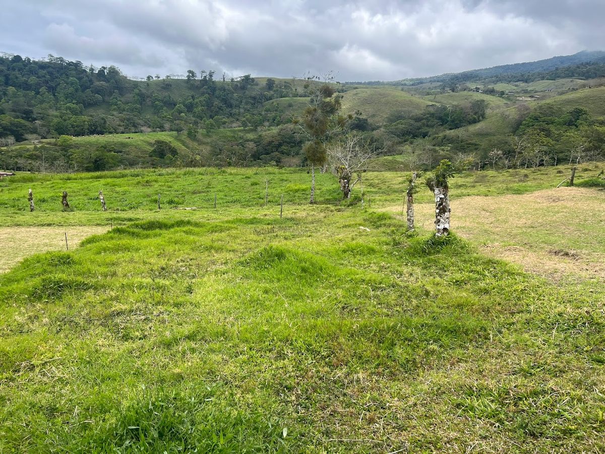 Lote con vista al Cerro Platanar en San Gerardo de Ciudad Quesada