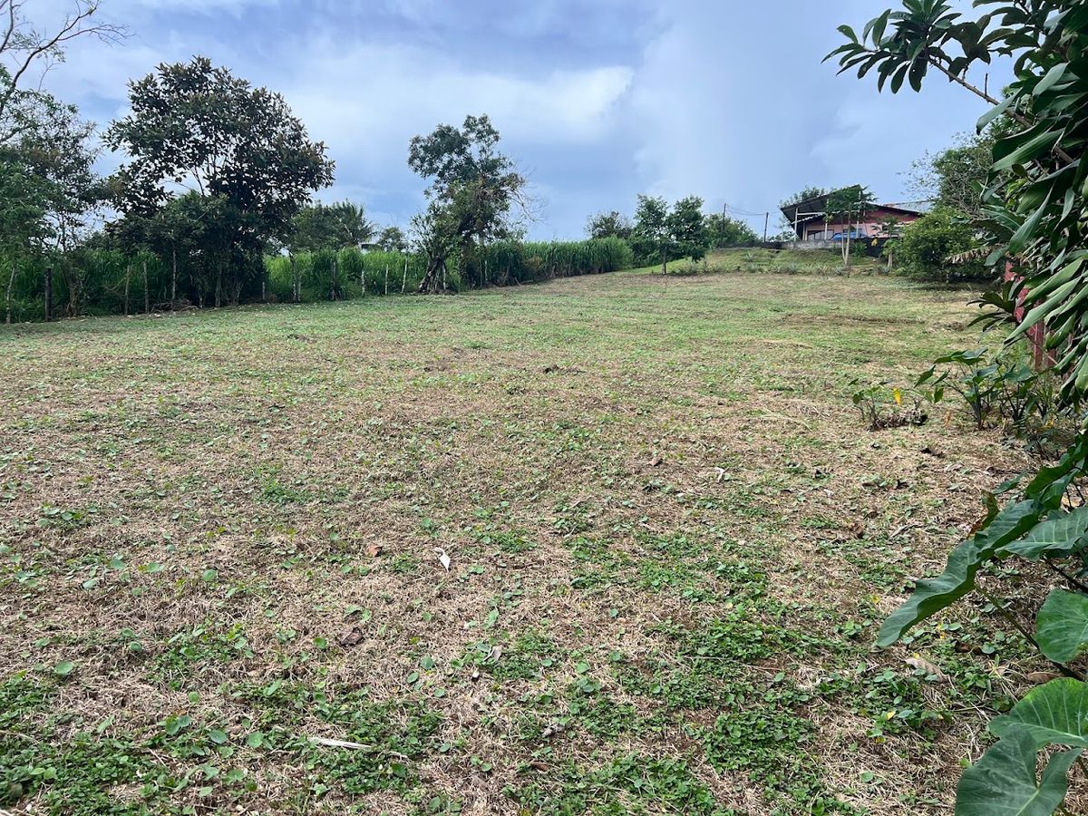 Home with Large Lot for Sale in La Tesalia | San Carlos
