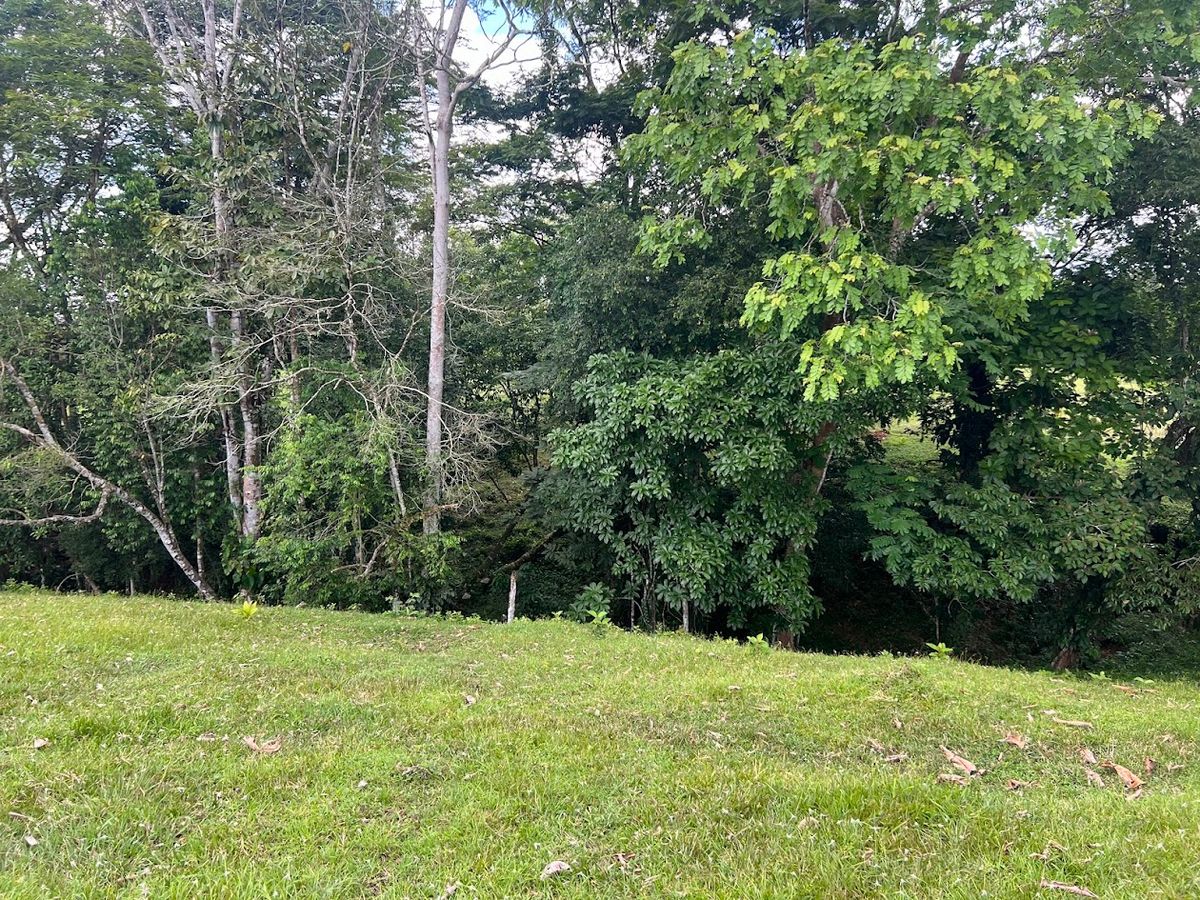 4,036 sqm Versatile Rural Lot in San Jorge de Cutris, San Carlos