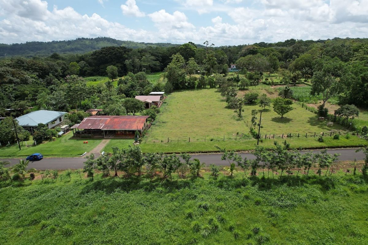 3,000 sqm Flat Lot in La Marina: Ready to Build & Prime Location