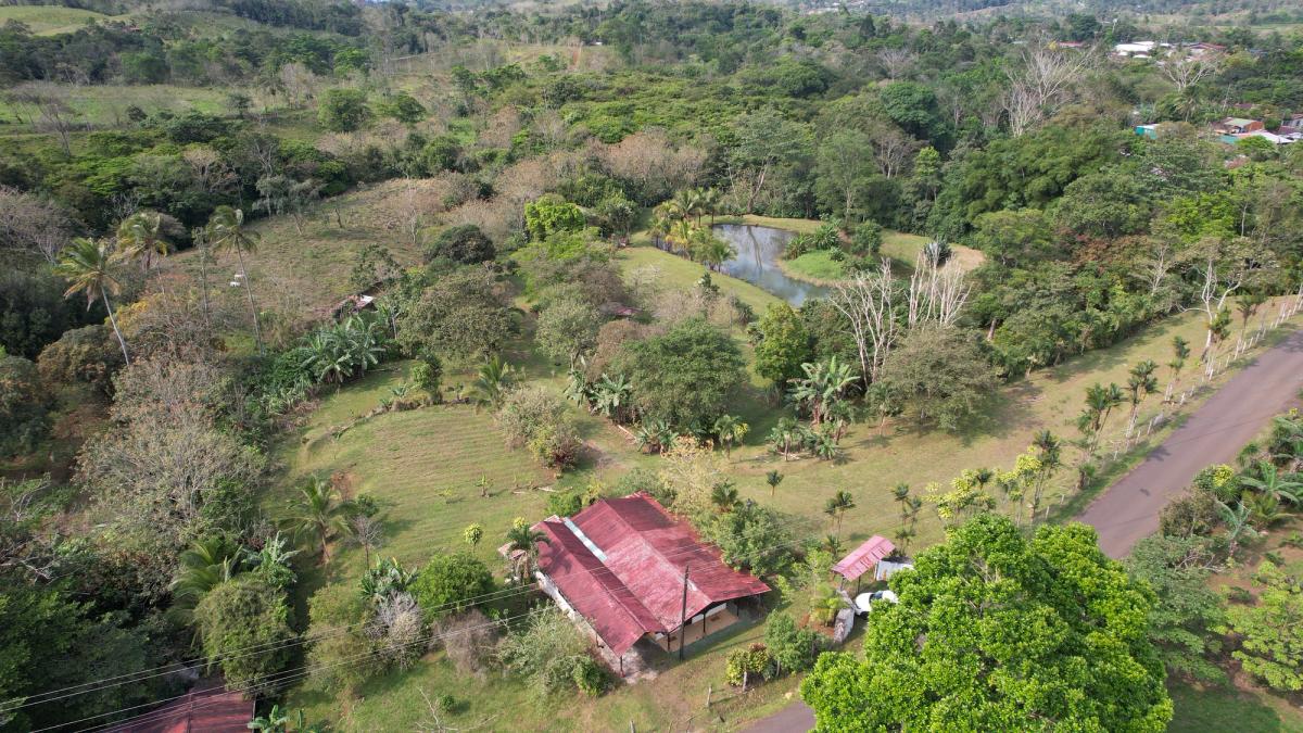 Stunning 6.4-Acre Lakefront Estate with Tourism Potential in La Palmera