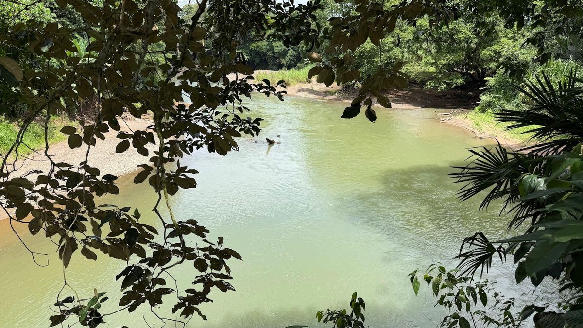 2-Hectare Farm in La Perla, La Fortuna: Commercial Frontage & Peñas Blancas River