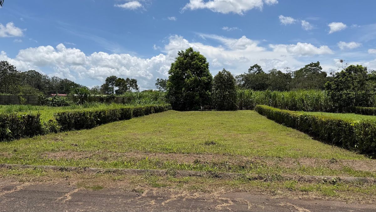 Lote Residencial de 429 m² en Florencia: Privacidad y Gran Potencial