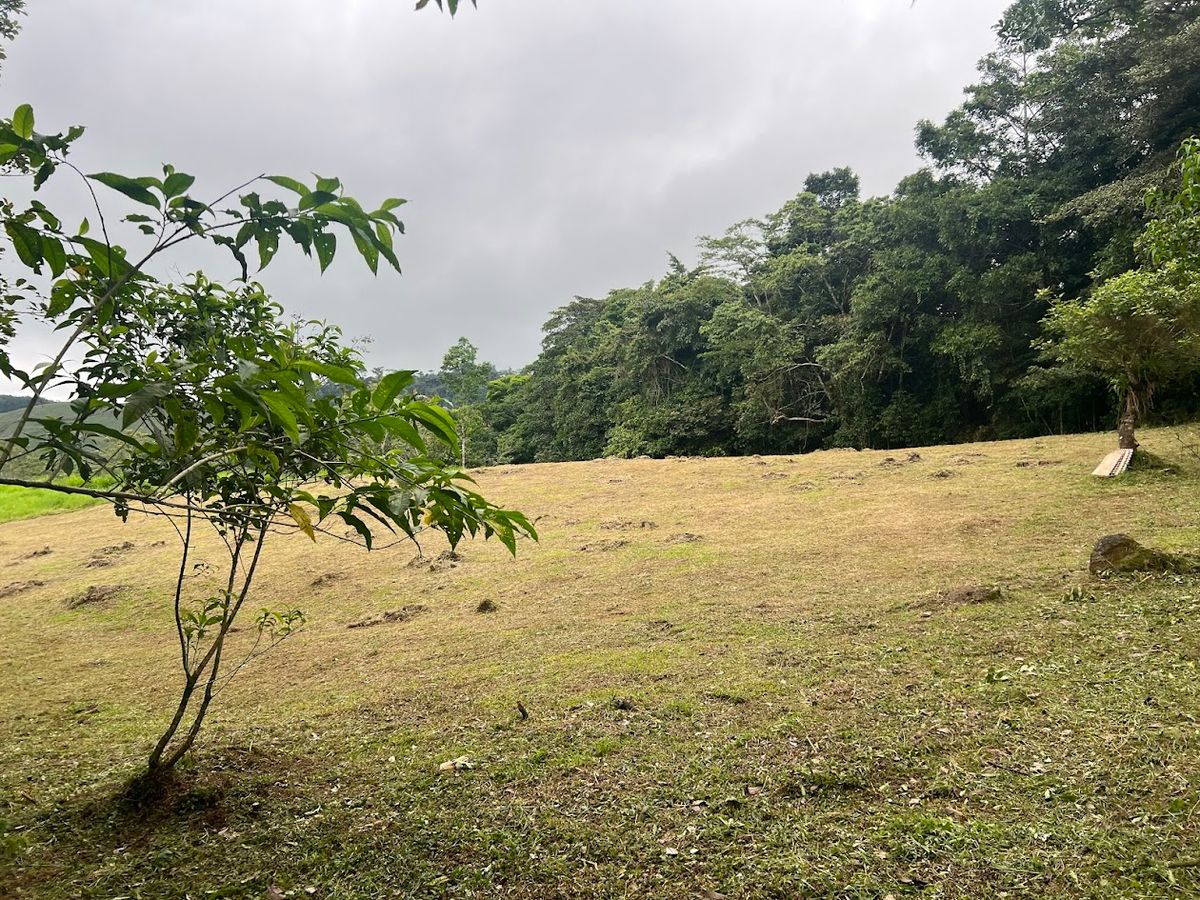 3,000 sqm Flat Lot in San Gerardo: Nature & Investment Opportunity