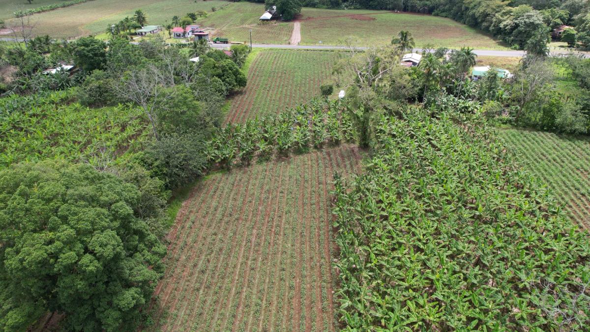 2-Hectare Farm in La Perla, La Fortuna: Commercial Frontage & Peñas Blancas River