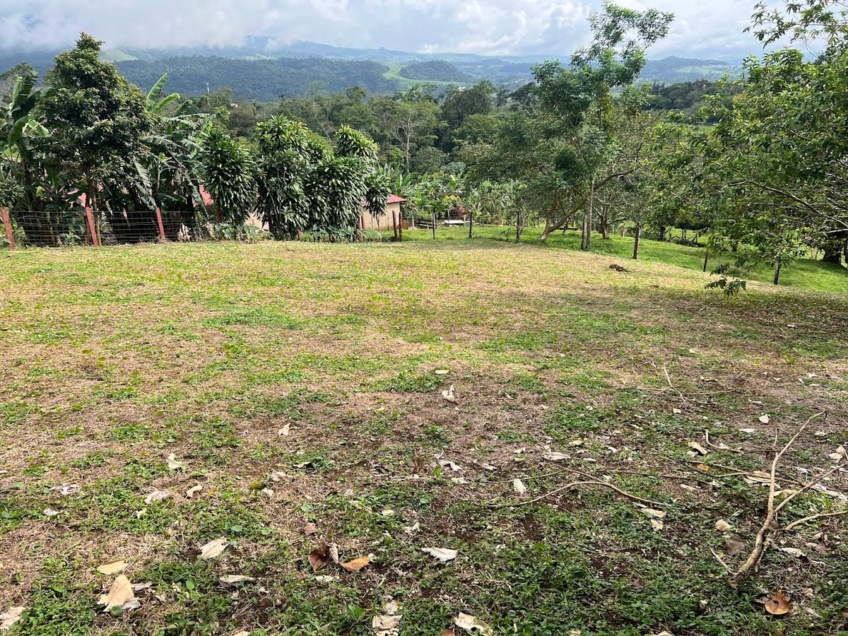 Home with Large Lot for Sale in La Tesalia | San Carlos