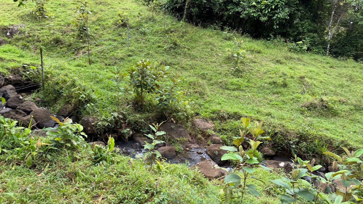 Finca Turística y Agropecuaria en San Carlos: Con Nacientes y Ríos