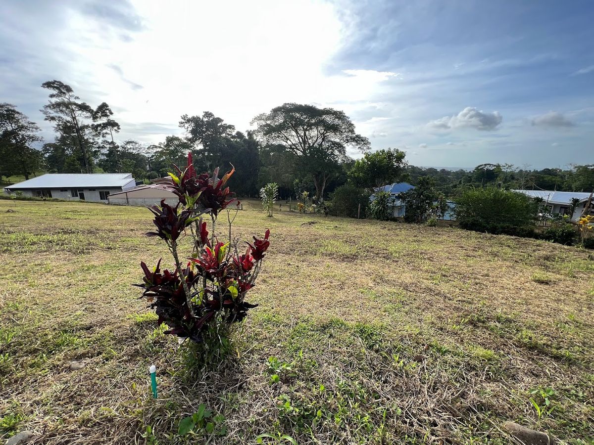 Residential Lot in Ciudad Quesada: Ideal for Apartments