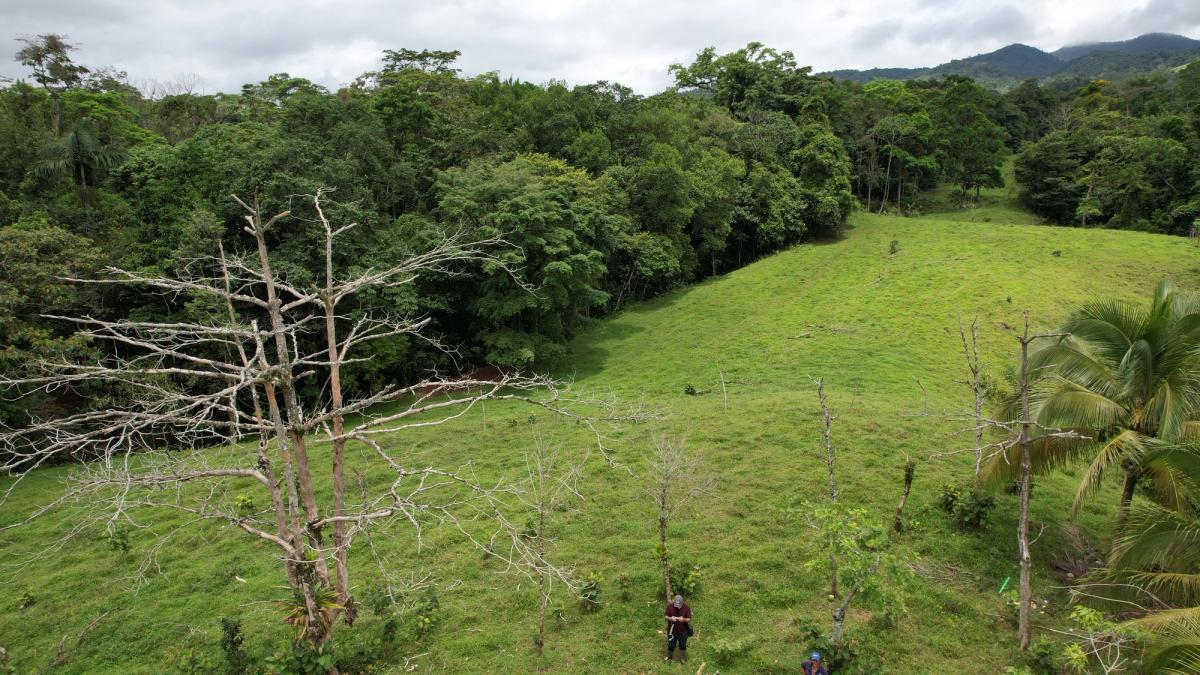 Finca Turística y Agropecuaria en San Carlos: Con Nacientes y Ríos