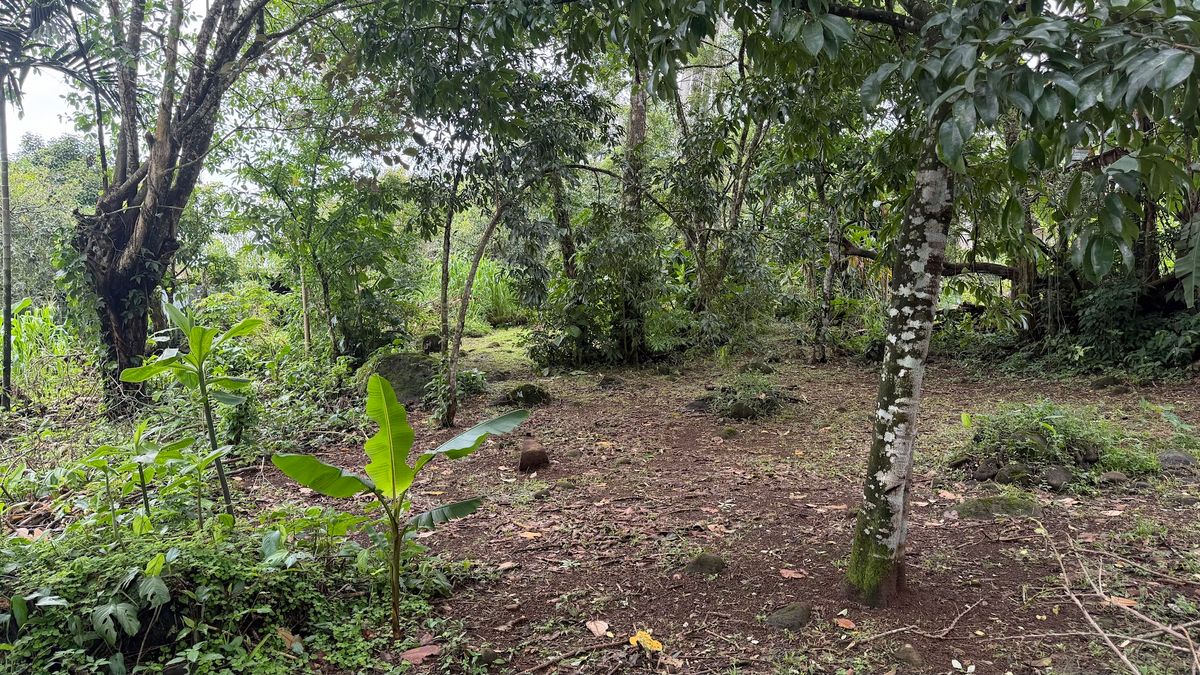 Land for Sale in Las Delicias, Aguas Zarcas: Heritage & Nature