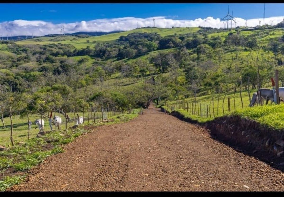 Lotes en Tilarán: Quintas Exclusivas cerca del Lago Arenal