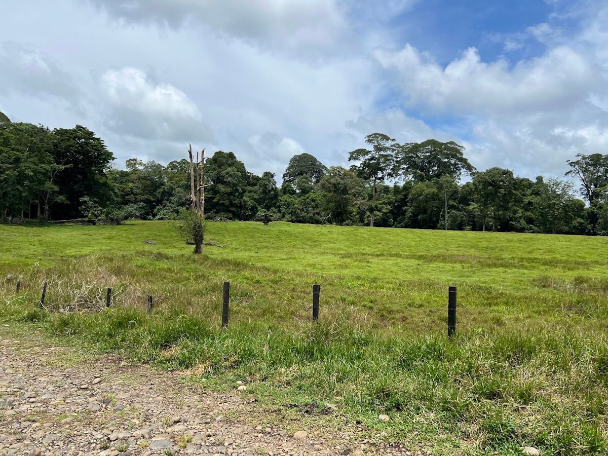 Cattle ranch in Costa Rica, San Carlos
