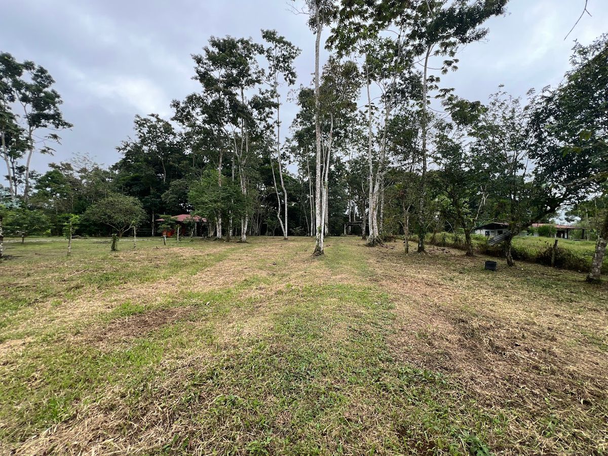 Flat Lot for Sale in Carrizal, Rio Cuarto: Near Hule Lagoon