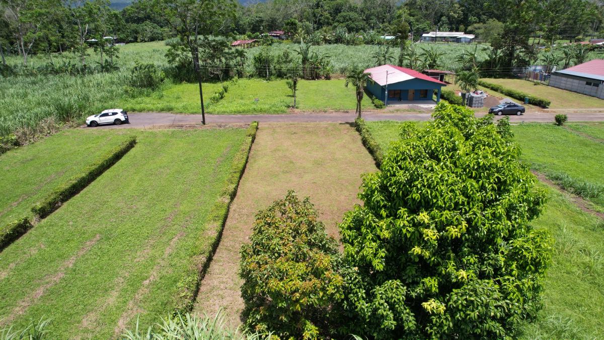 Lote Residencial de 429 m² en Florencia: Privacidad y Gran Potencial