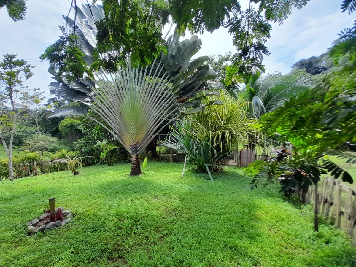 Quinta de 1 Hectárea con Piscina en Venta en Puerto Viejo de Limón