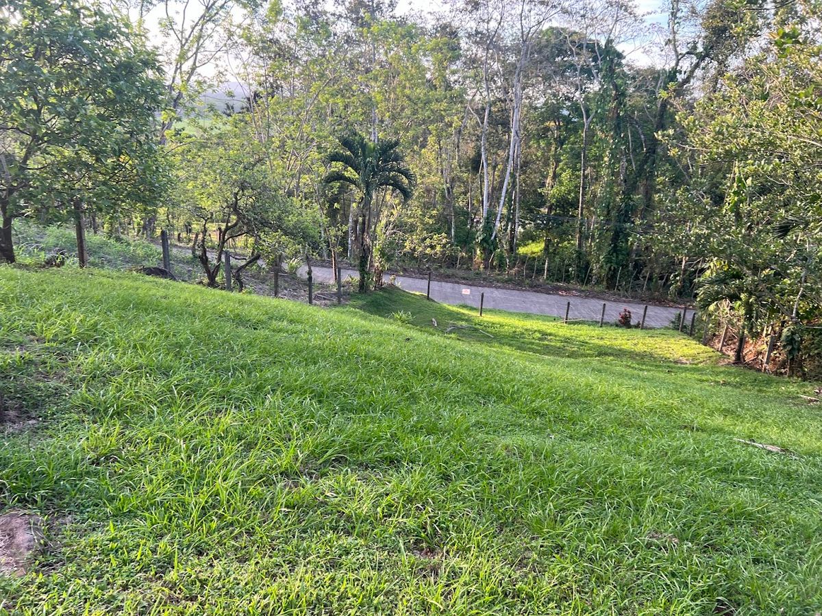 Lot in Cuestillas, Florencia with Panoramic Views
