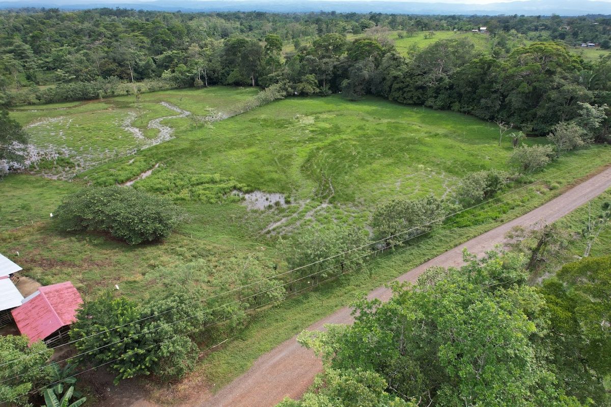 7-Hectare Self-Sufficient Dairy Farm and Cabin in Los Chiles