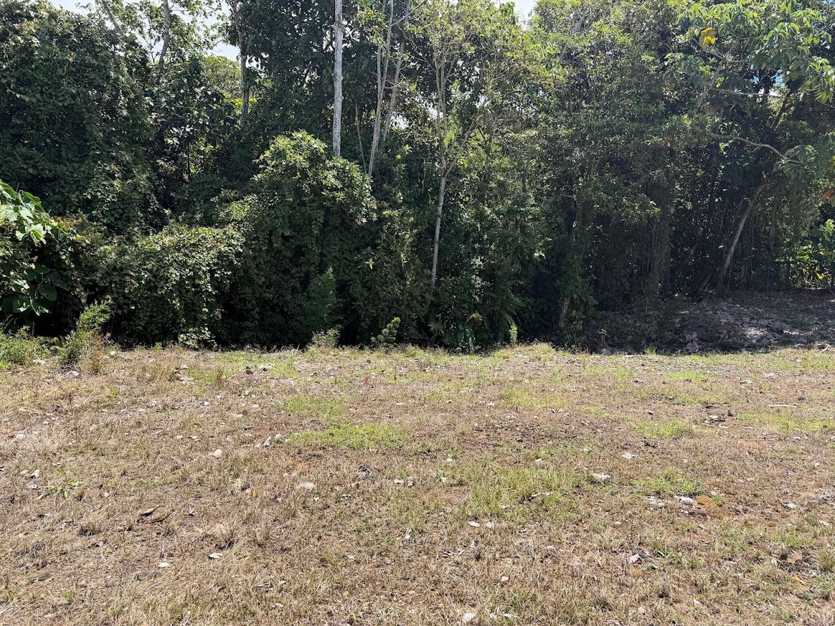 Private lot in San Gerardo, Ciudad Quesada