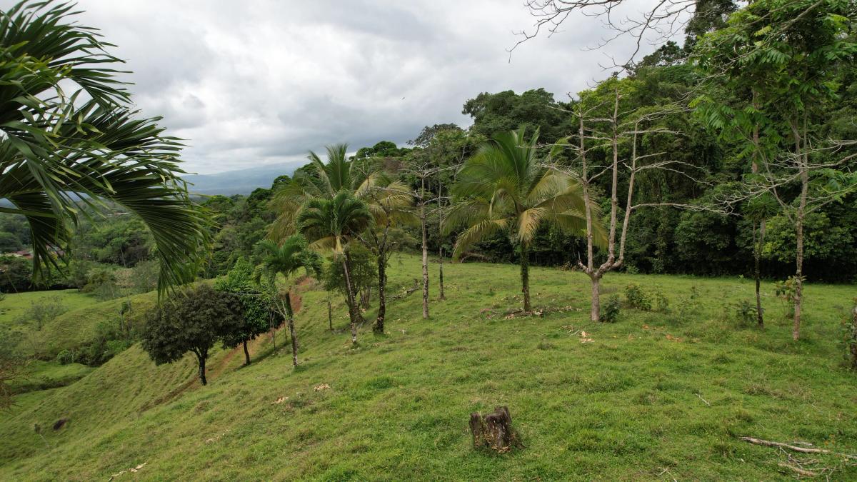 Finca Turística y Agropecuaria en San Carlos: Con Nacientes y Ríos