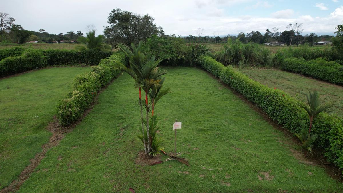 Lot with Arenal Volcano view