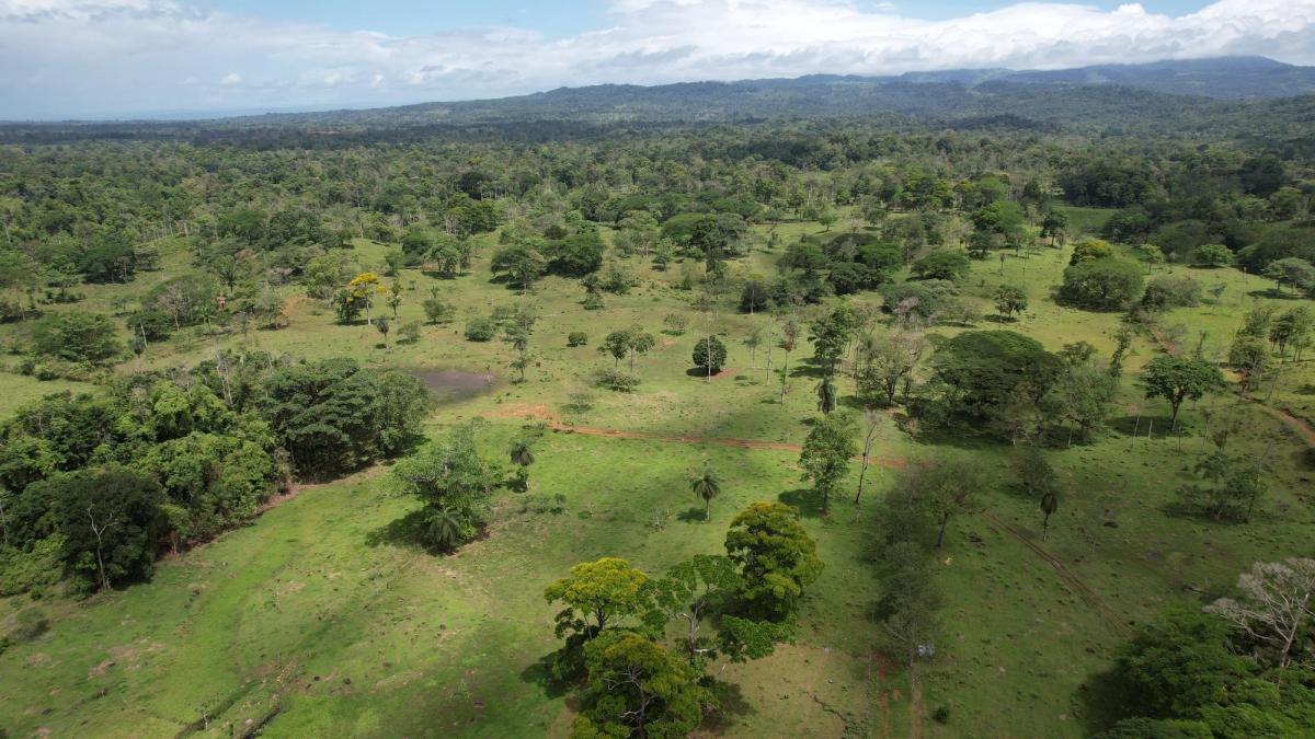 Fully Operational Livestock Development in Cuatro Esquinas