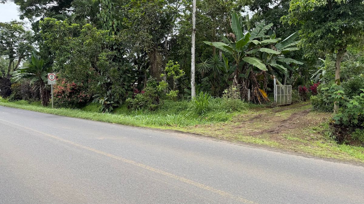 Land for Sale in Las Delicias, Aguas Zarcas: Heritage & Nature