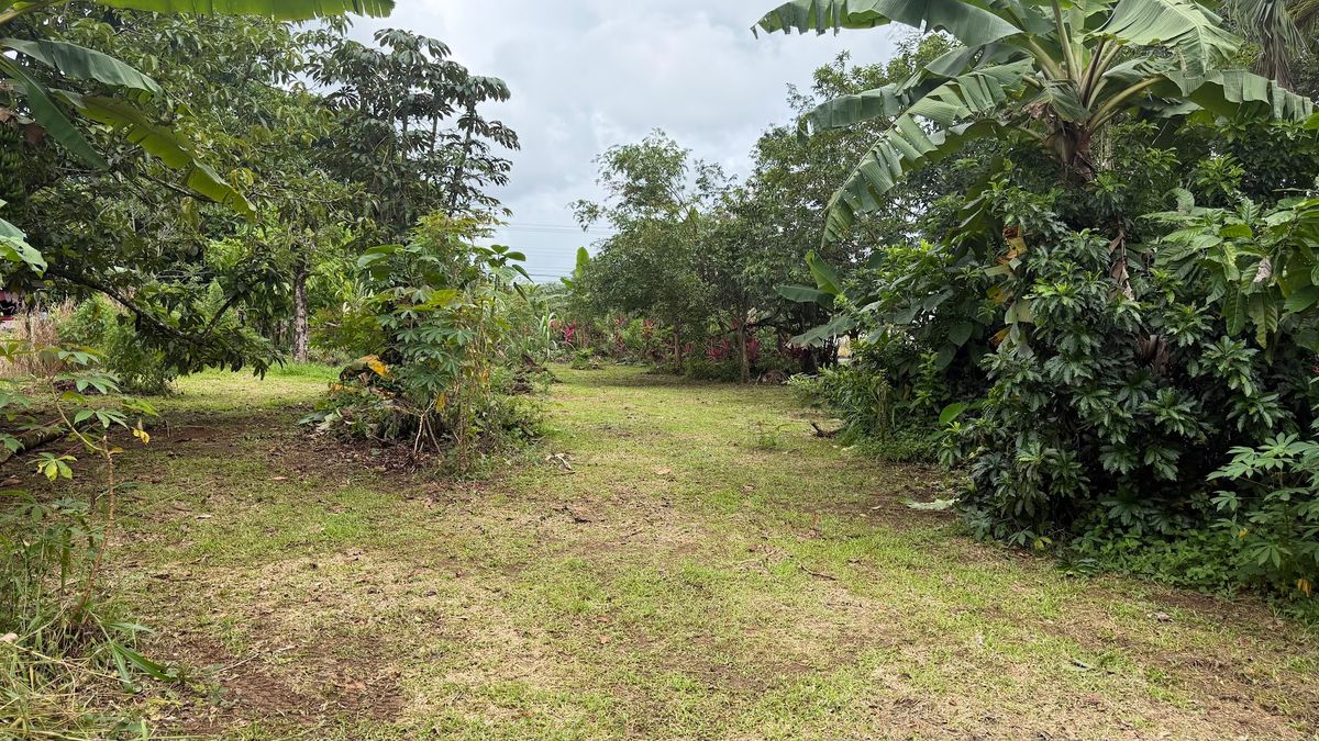 Land for Sale in Las Delicias, Aguas Zarcas: Heritage & Nature