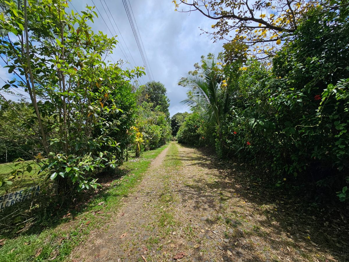 Finca de 3.2 Hectáreas en Peñas Blancas: Con Río y Potencial Turístico