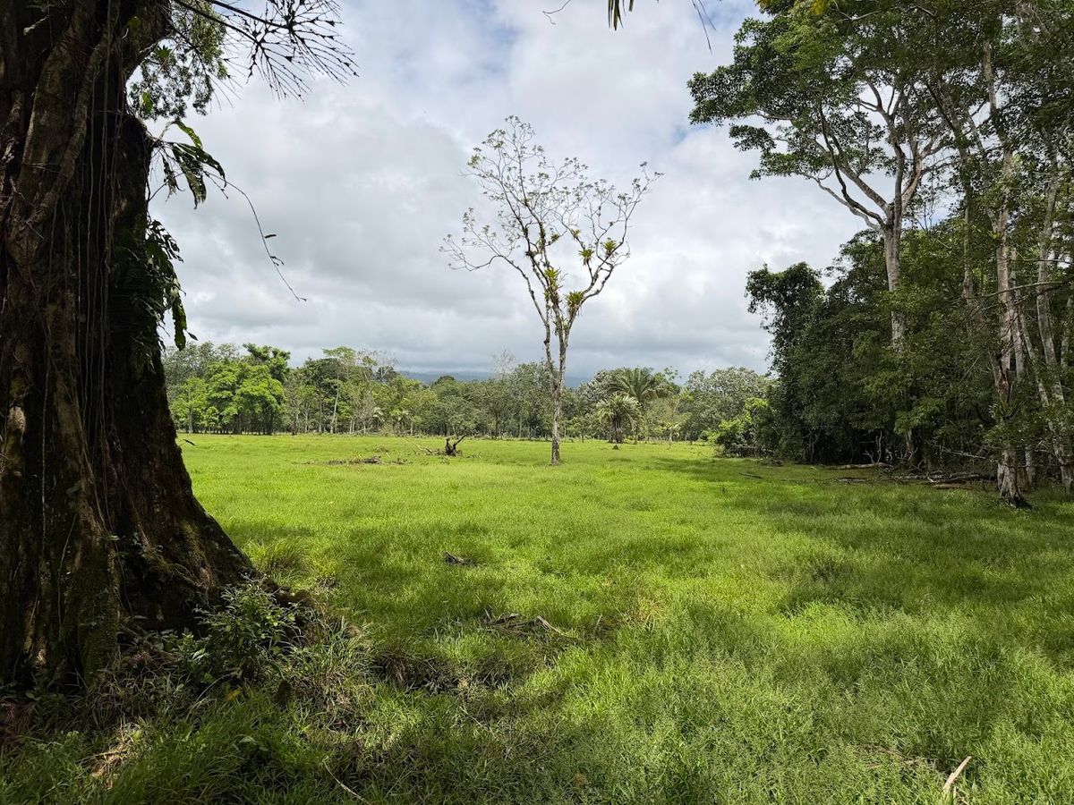 Finca Ganadera entre Upala y Bijagua: Dividida por Vía Nacional