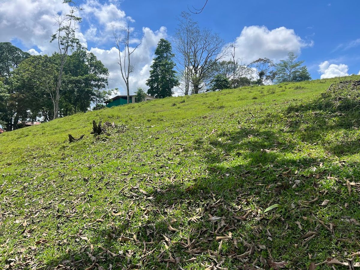 Luxury Lakefront Estate in Cutris: Volcano Views & Nature Sanctuary.