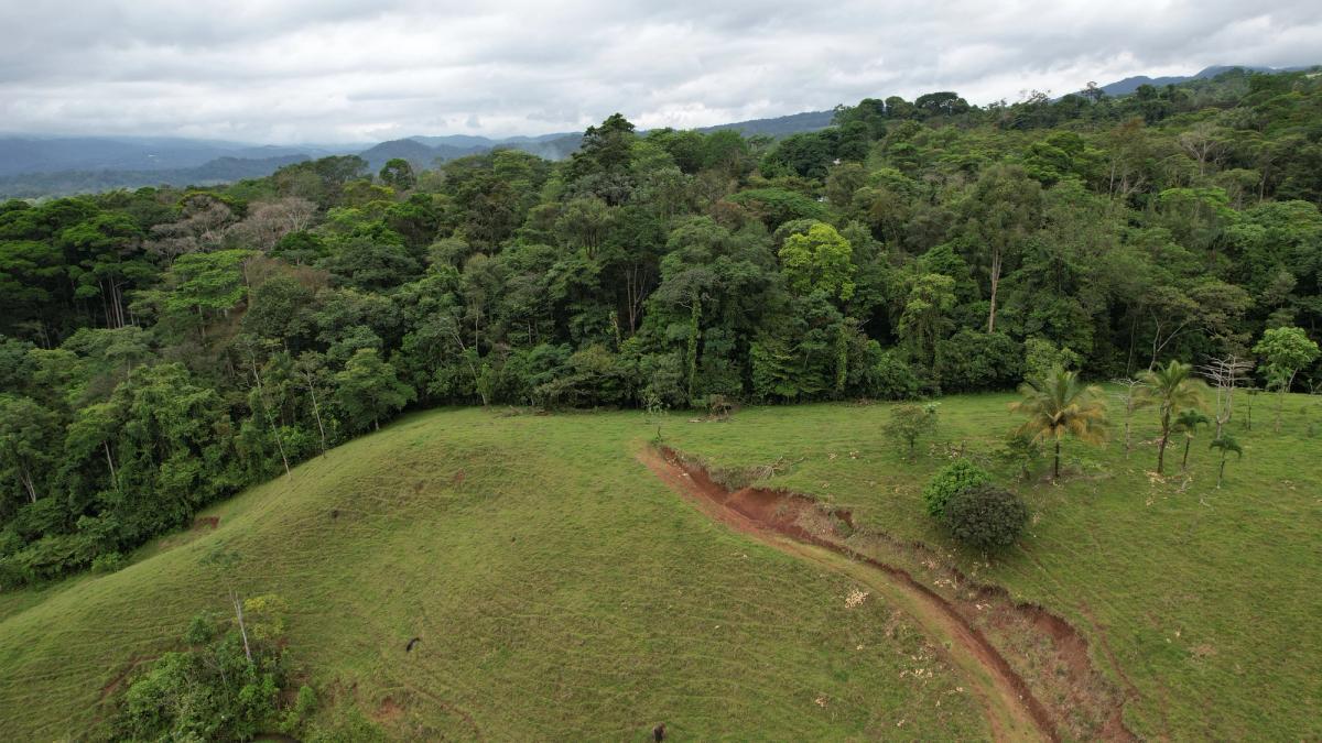 Finca Turística y Agropecuaria en San Carlos: Con Nacientes y Ríos