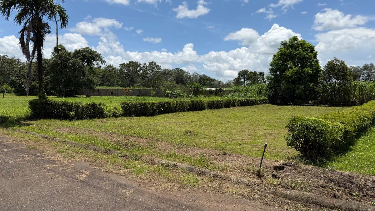 Lote Residencial de 429 m² en Florencia: Privacidad y Gran Potencial