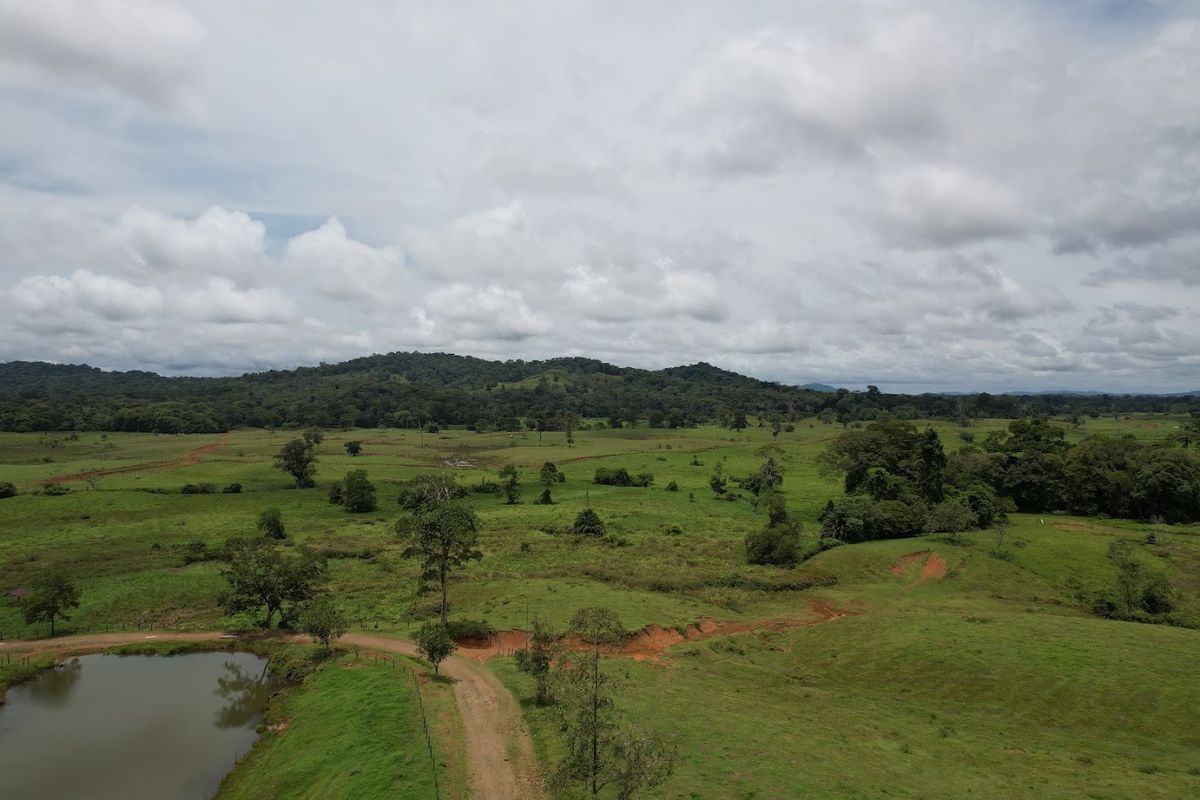 Cattle ranch in Costa Rica, San Carlos