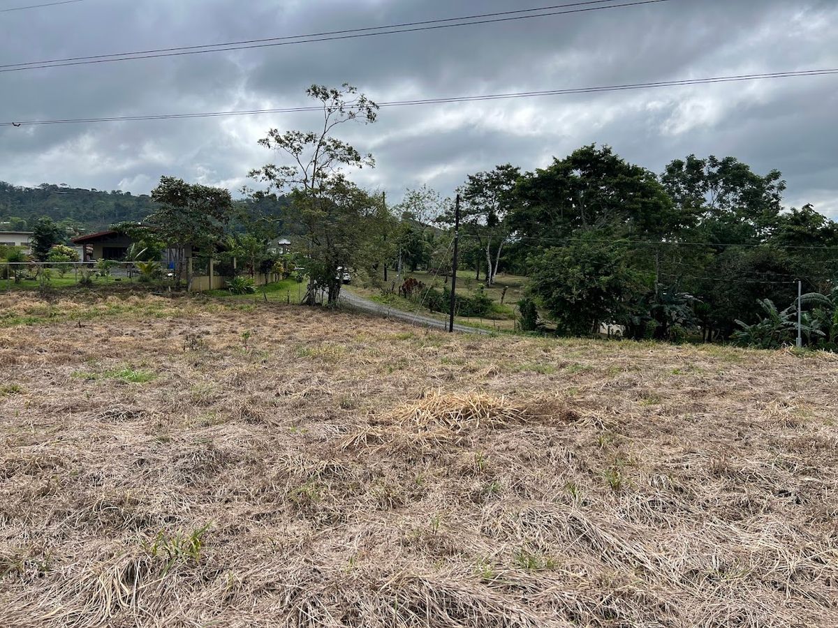 Lotes con precio de Oportunidad en Ciudad Quesada: en Puente Casa