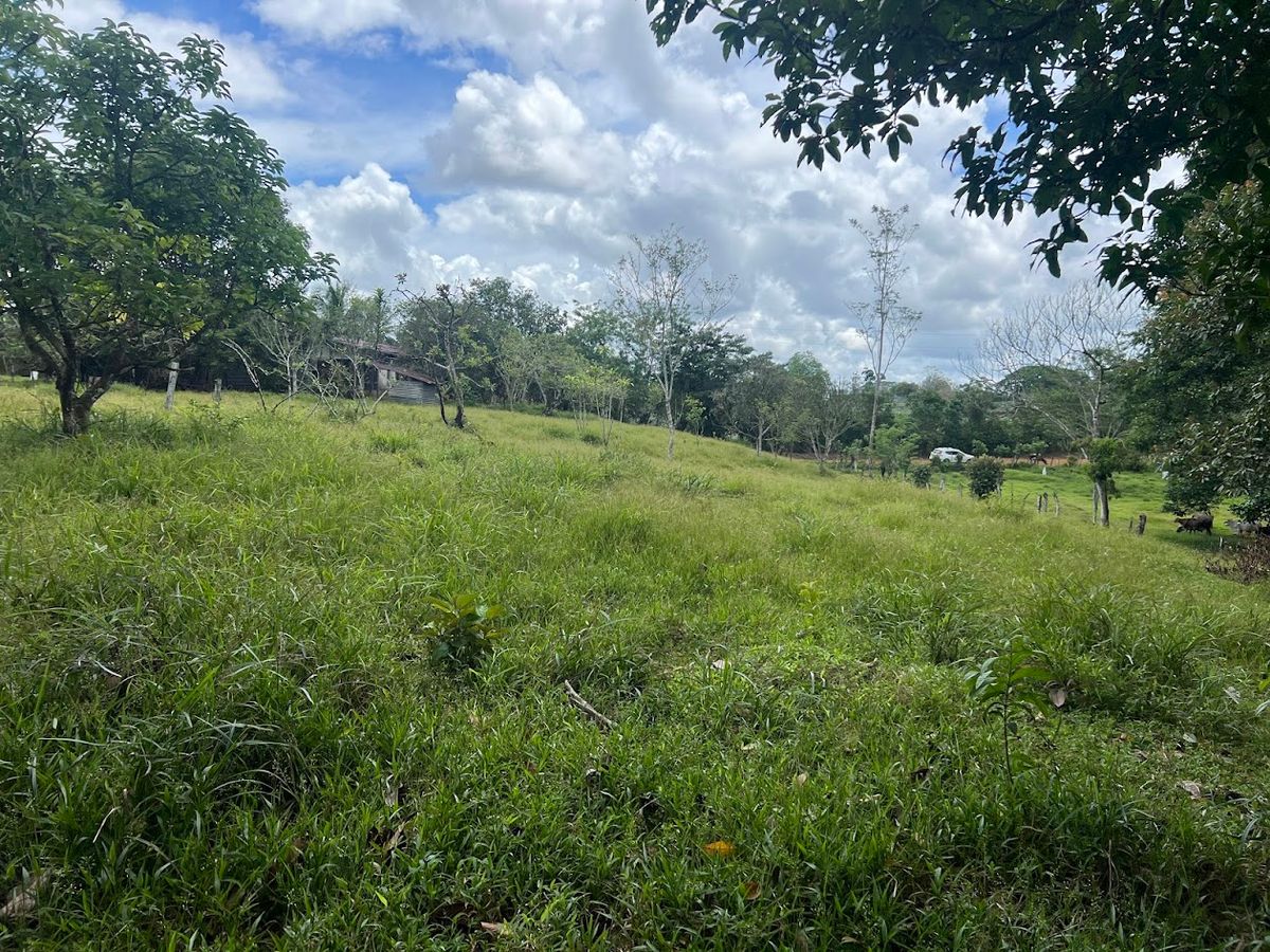 4,036 sqm Versatile Rural Lot in San Jorge de Cutris, San Carlos