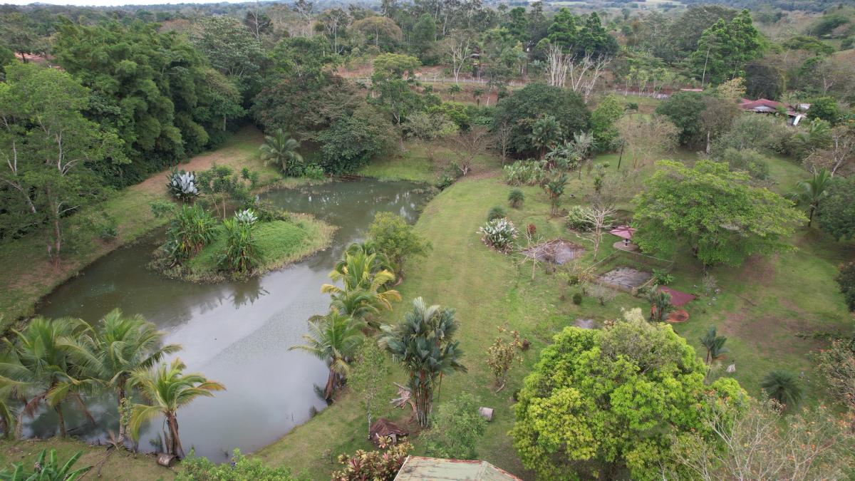 Stunning 6.4-Acre Lakefront Estate with Tourism Potential in La Palmera