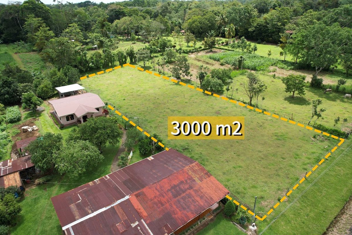 3,000 sqm Flat Lot in La Marina: Ready to Build & Prime Location