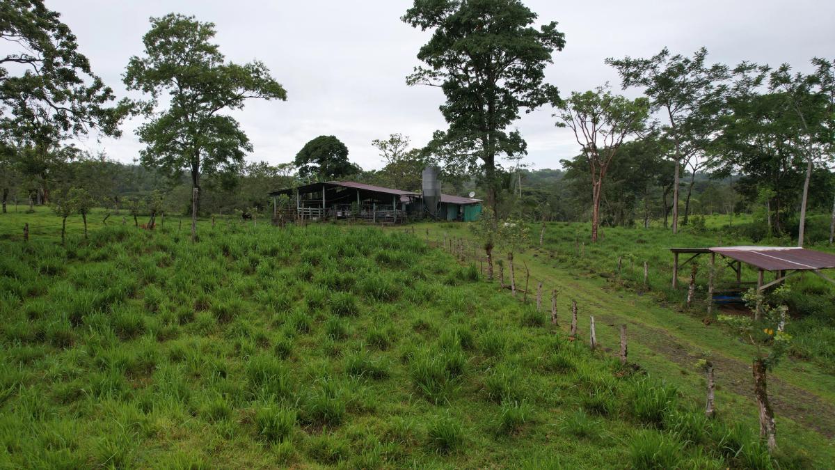 Finca Ganadera entre Upala y Bijagua: Dividida por Vía Nacional