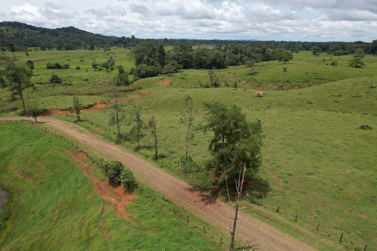 Cattle ranch in Costa Rica, San Carlos