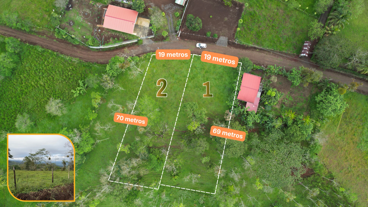Lotes en Cedral de Ciudad Quesada: Topografía Plana y Paz