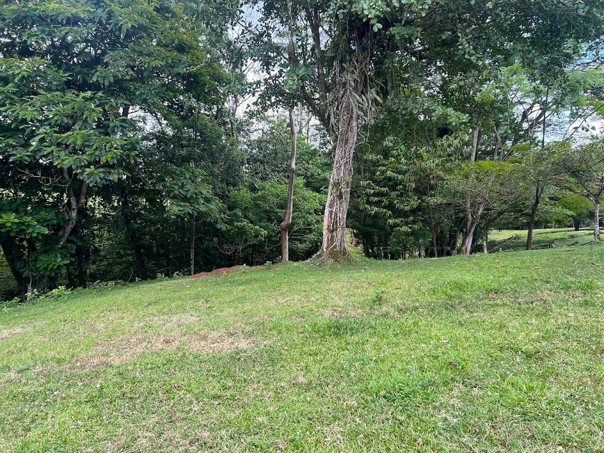 4,036 sqm Versatile Rural Lot in San Jorge de Cutris, San Carlos